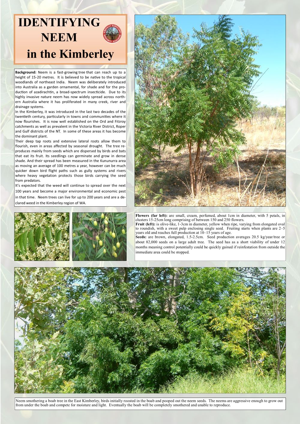 Neem poster